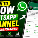 how to increase whatsapp channel followers